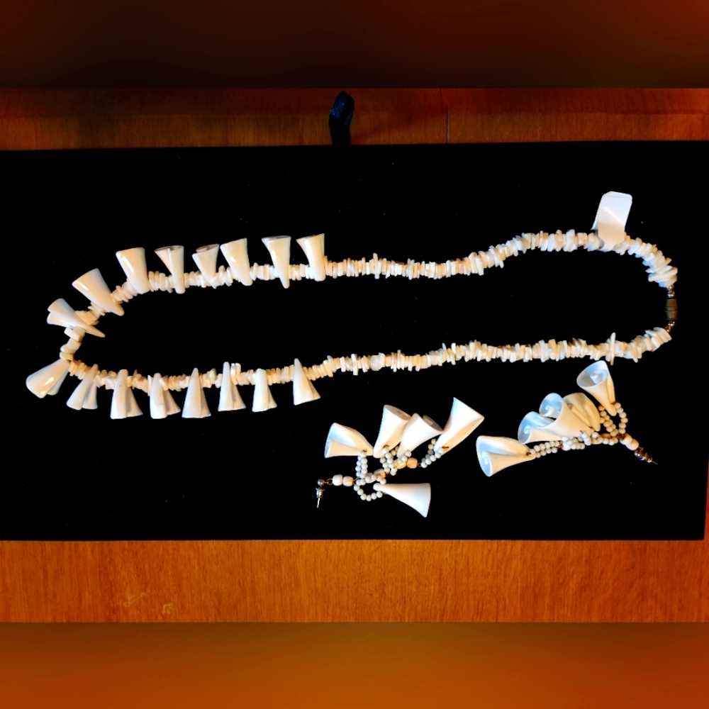 Coral Natural Stone Necklace and Earrings